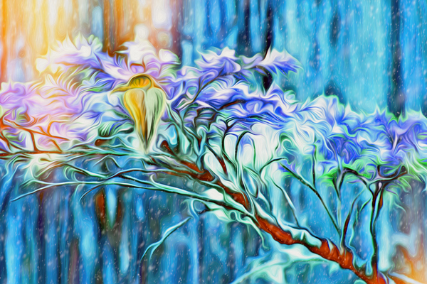 winter moss hawk Print