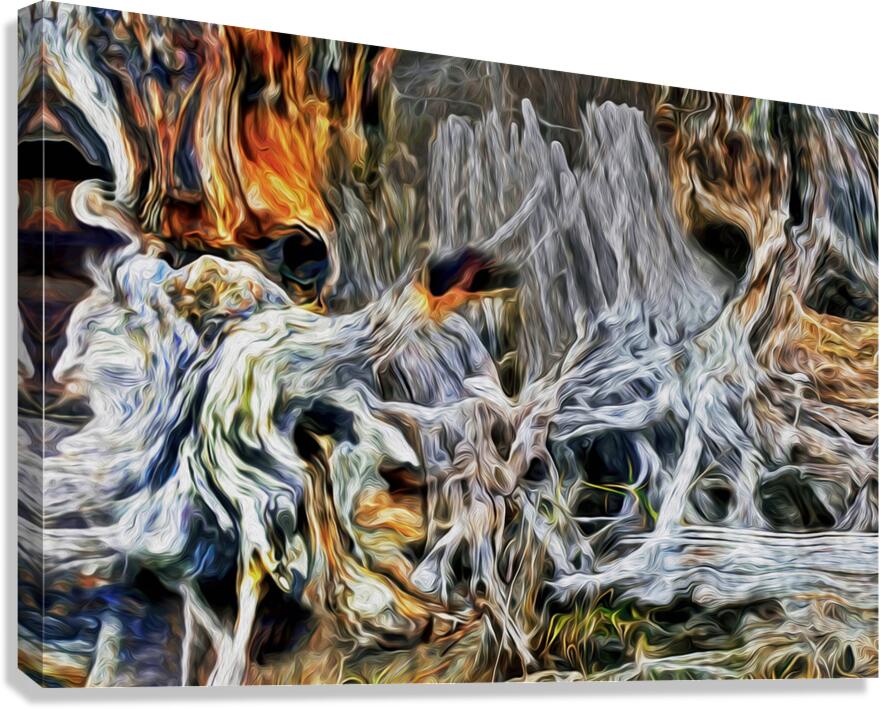 petrified at low tide Canvas Print