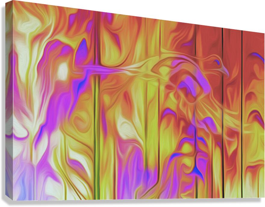 feathers and fire Canvas Print