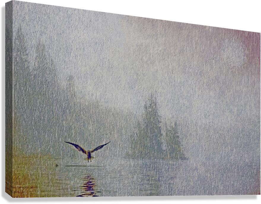 a lullible gulliby Canvas Print