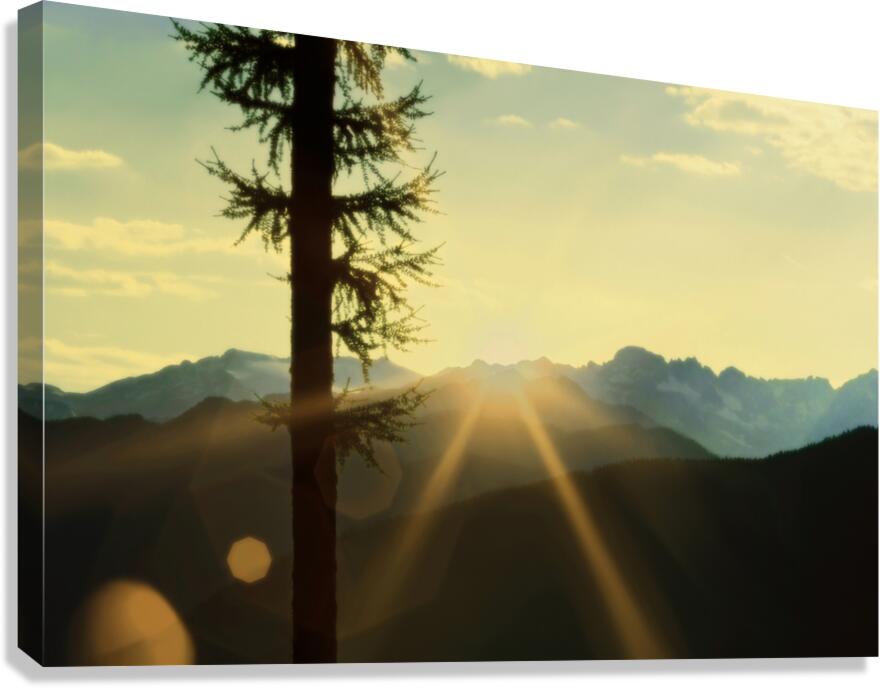 Loki Doki Golden Delight Canvas Print