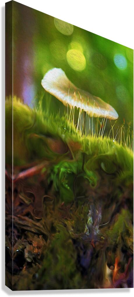 magic underfoot Canvas Print