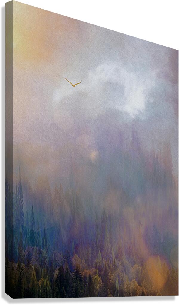 into the mystic Canvas Print