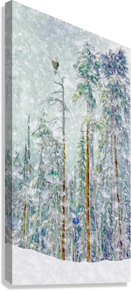 patience Canvas Print