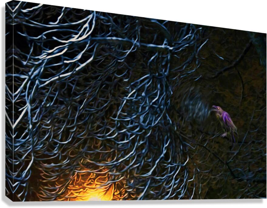 night Caw Cawler Canvas Print