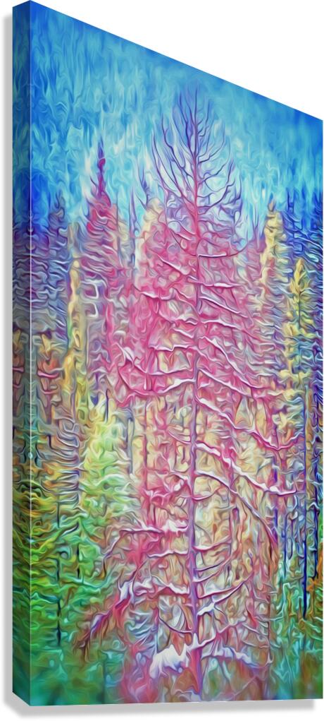 pink spring chinook Canvas Print