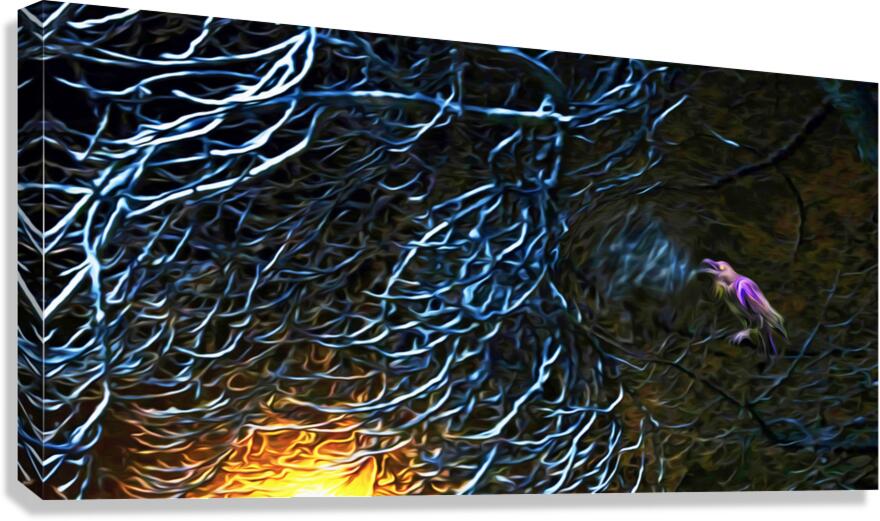 night Caw Cawler : Panoramic Orientation Canvas Print