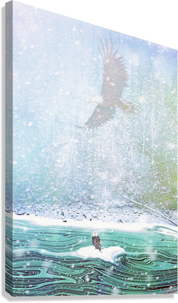 watching from above Canvas Print