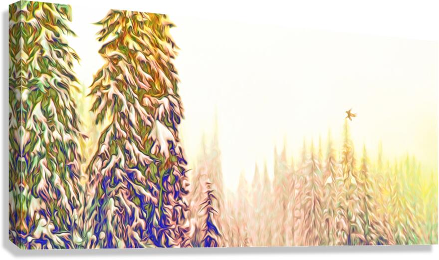 tricksters glow Panoramic Orientation Canvas Print