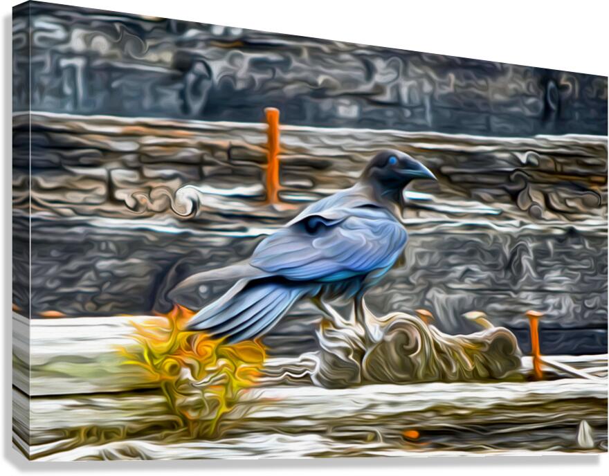 tricksters and shape shifters Canvas Print