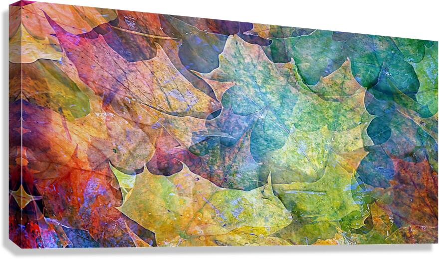 september super natural Canvas Print