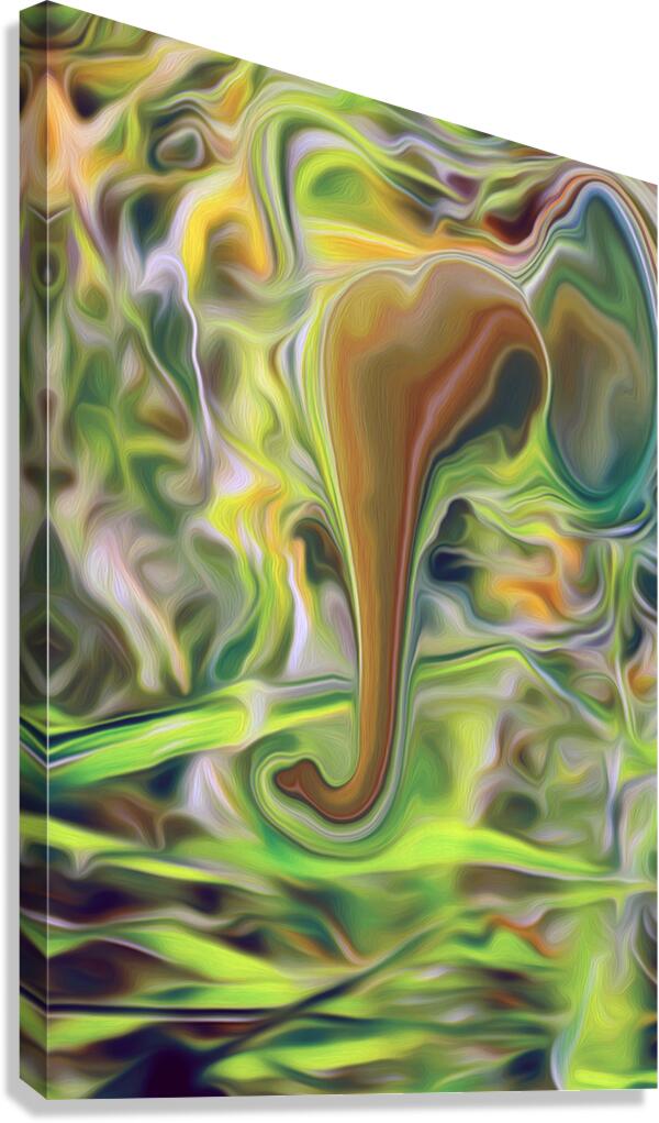 psycadeliphant Canvas Print