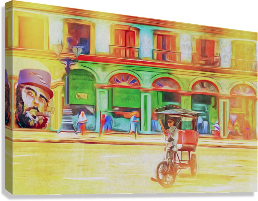 havana high fidelity Canvas Print