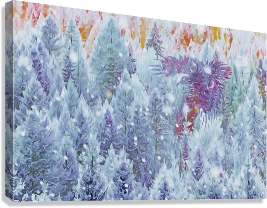 terra ratta dawn patrol Canvas Print