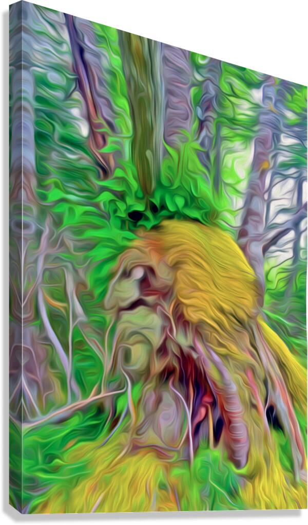 an east coast toast to viking roots Canvas Print