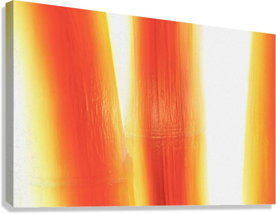 Feather Light bambeautiful Canvas Print