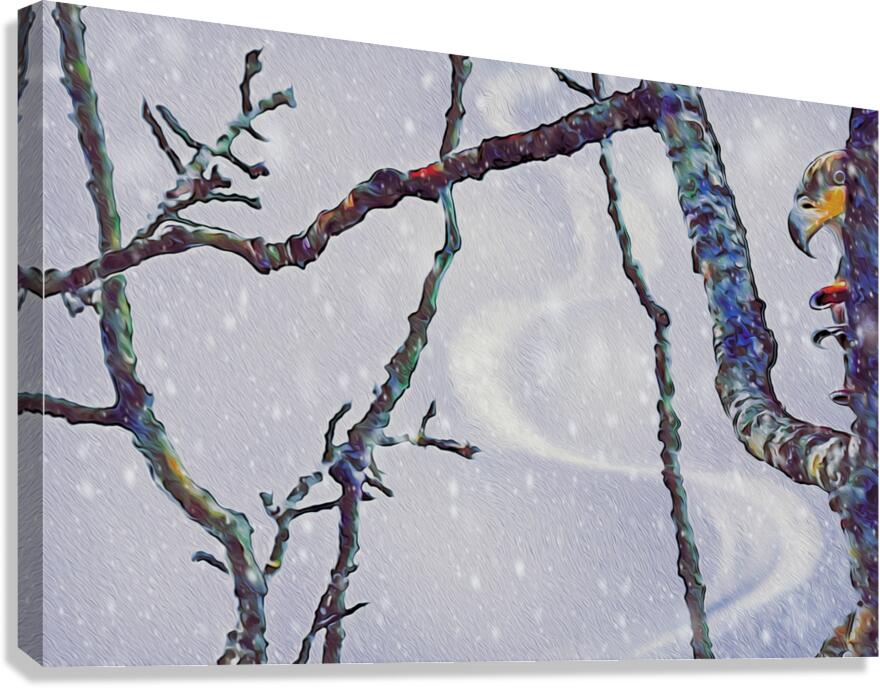 beakaboo   landcape orientaton Canvas Print