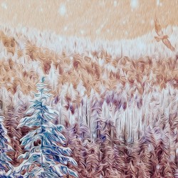 soaring over the hearts of the Kootenais