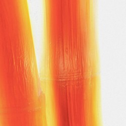 Feather Light bambeautiful