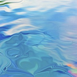 Paws for reflection : panoramic orientation