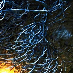 night Caw Cawler : Panoramic Orientation