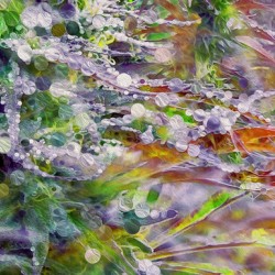 a perfectly sticky siuation