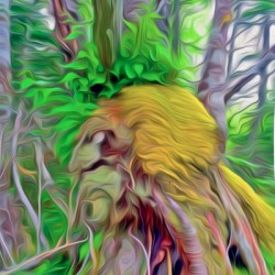 an east coast toast to viking roots