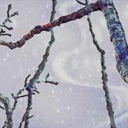 beakaboo   landcape orientaton