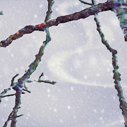 beakaboo panoramic orientation