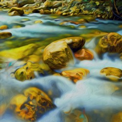 kootenai time iquid assets