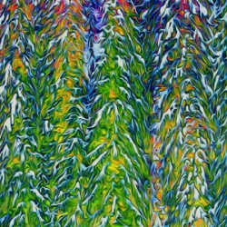 presimmon cardigan coniferous sunrise 