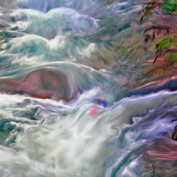 rapid heart hydrology