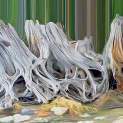 roots heart rocks and a fox