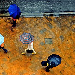 shanghai surprise high noon monsoon