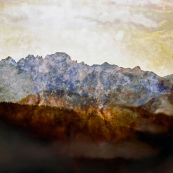 silver spray solo session