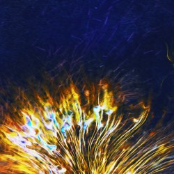 sparks and hearts rising