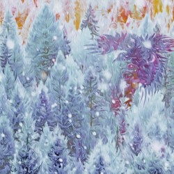 terra ratta dawn patrol