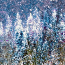 the howl of hidden pleasures