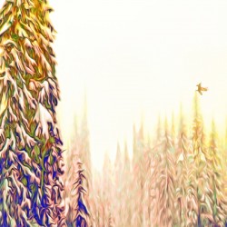 tricksters glow : landscape orientation