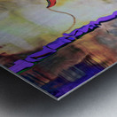 floating on a ravens back Metal print