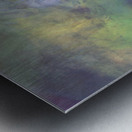 early bird Metal print