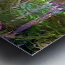 Svelt Velvet Sunrise Metal print