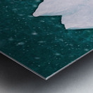 seeking higher ground Metal print