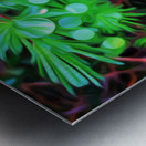 the black pearl of grose morne Metal print