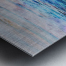  red sky @ night west coast rollers Metal print