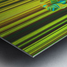 dirt burglar Metal print