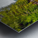 avatar grove balancing act Metal print