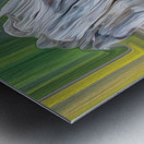 roots heart rocks and a fox Metal print