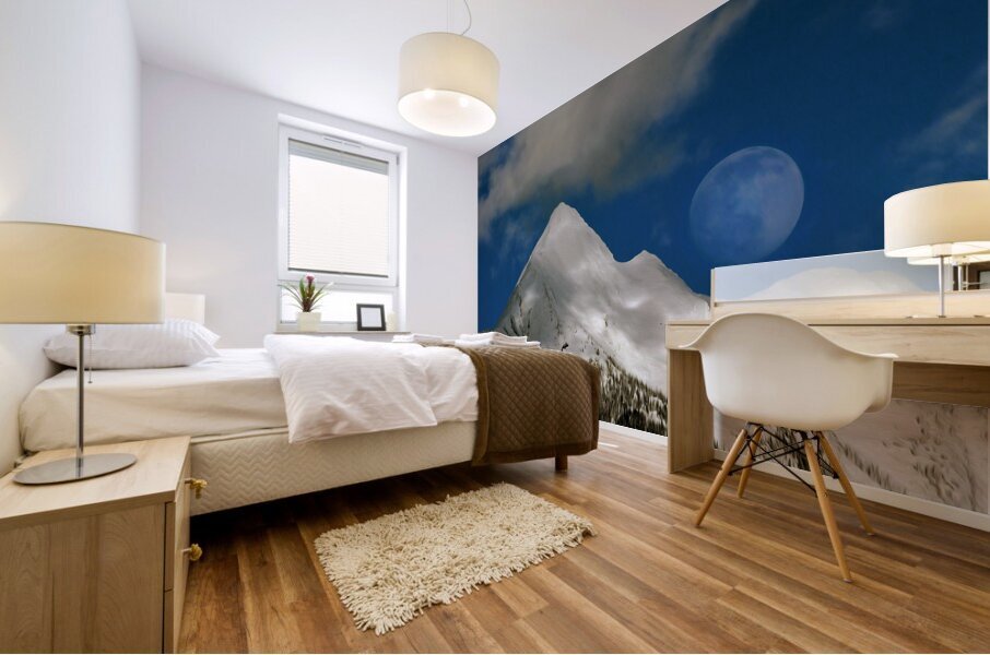 loki dokee moon shadows Mural print