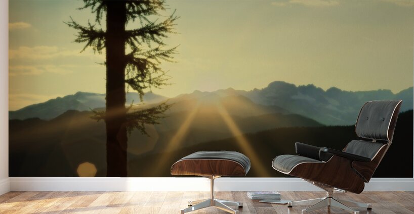 Loki Doki Golden Delight Wall Murals